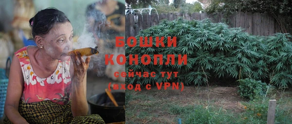 крисы Елизово