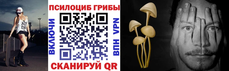 Купить  Новоалтайск  Псилоцибиновые грибы Cubensis 