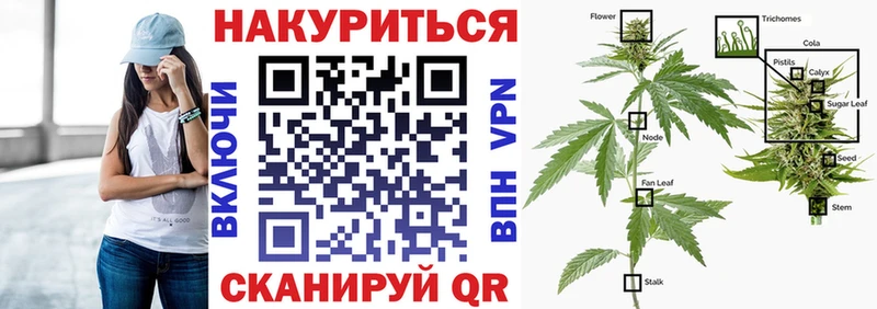 Бошки Шишки THC 21%  Купить закладки  Новоалтайск 